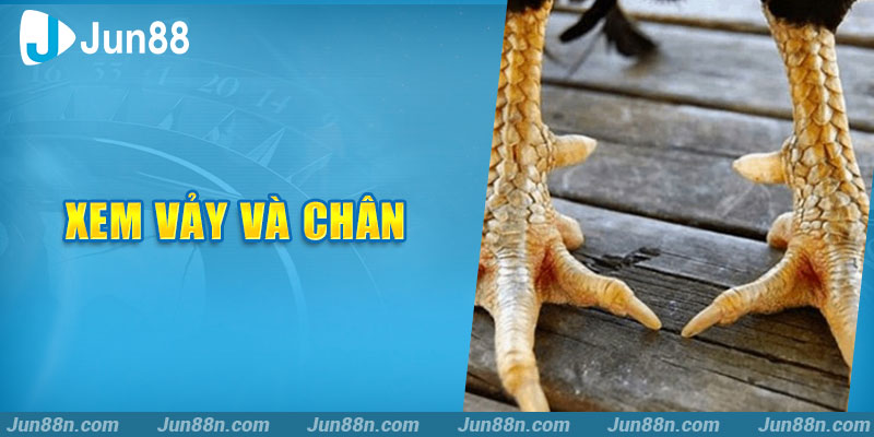Xem vảy và chân 